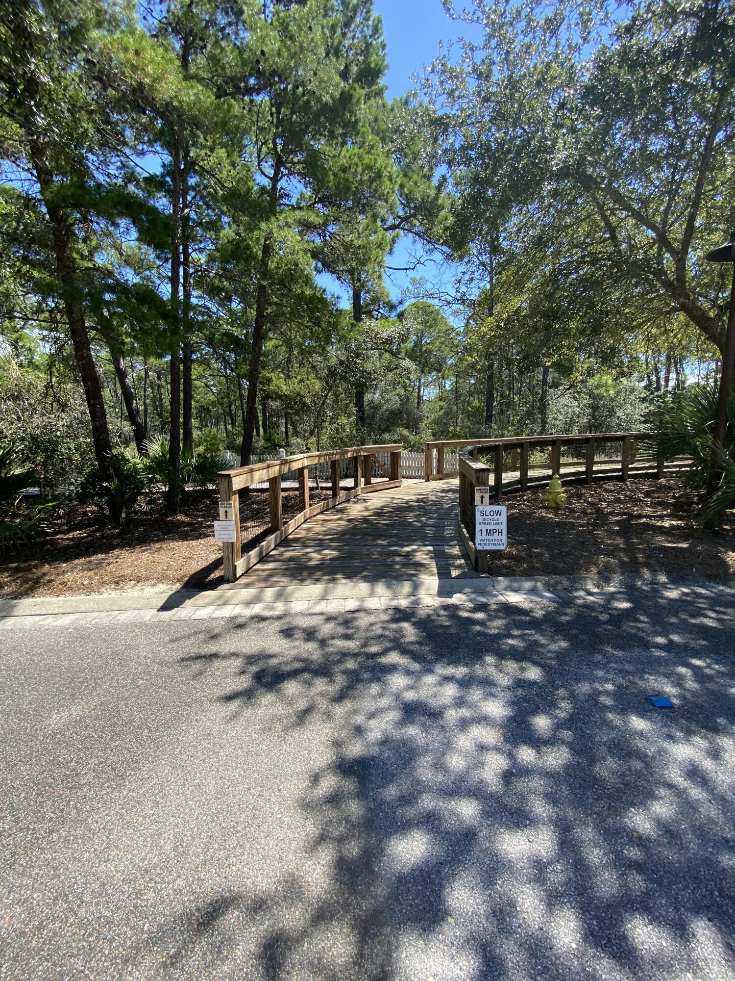 29 Sheepshank Lane Santa Rosa Beach, FL 32459 - Photo 87 of 104 Beach Access
