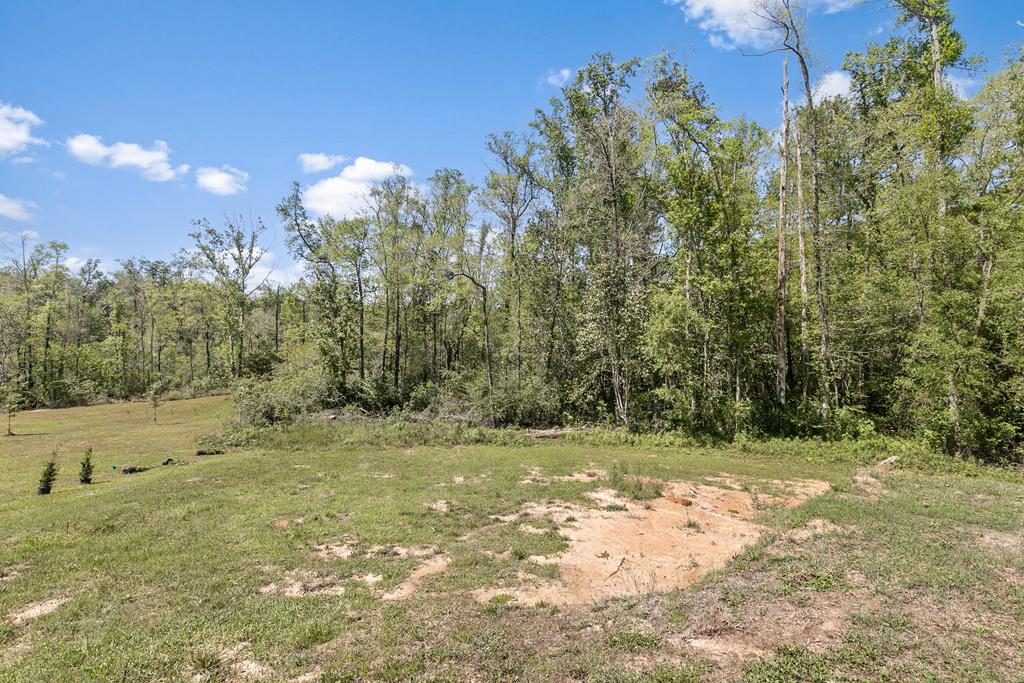 509 Riveredge Parkway Dothan, AL 36303 - Photo 46 of 67