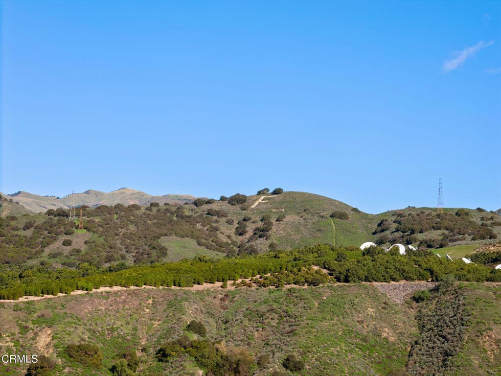 390 Rose Street Fillmore, CA 93015 - Photo 50 of 58 a view of a field with mountains in the background