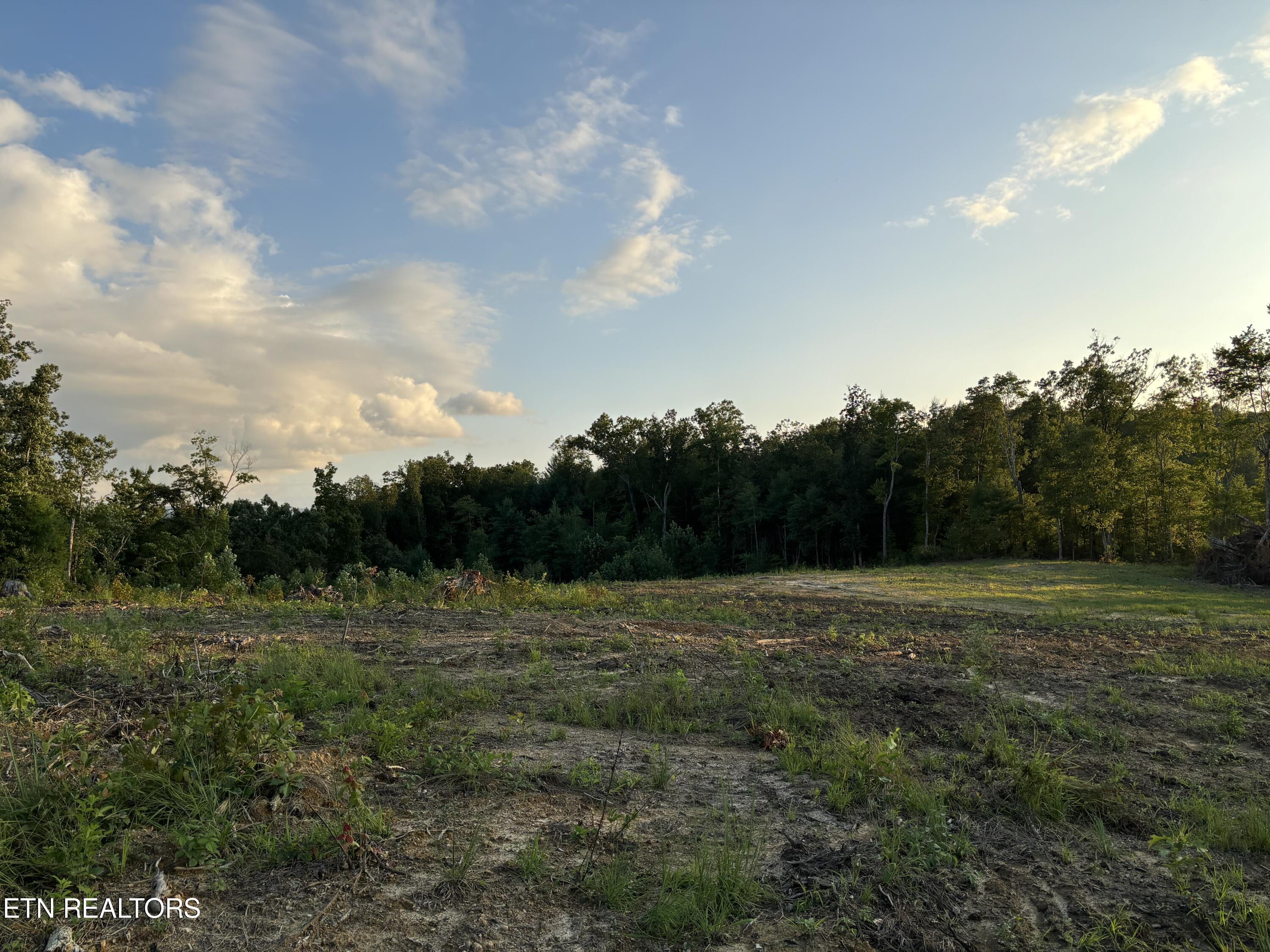 Newport/brimstone Road Robbins, TN 37852 - Photo 9 of 11 IMG_0226