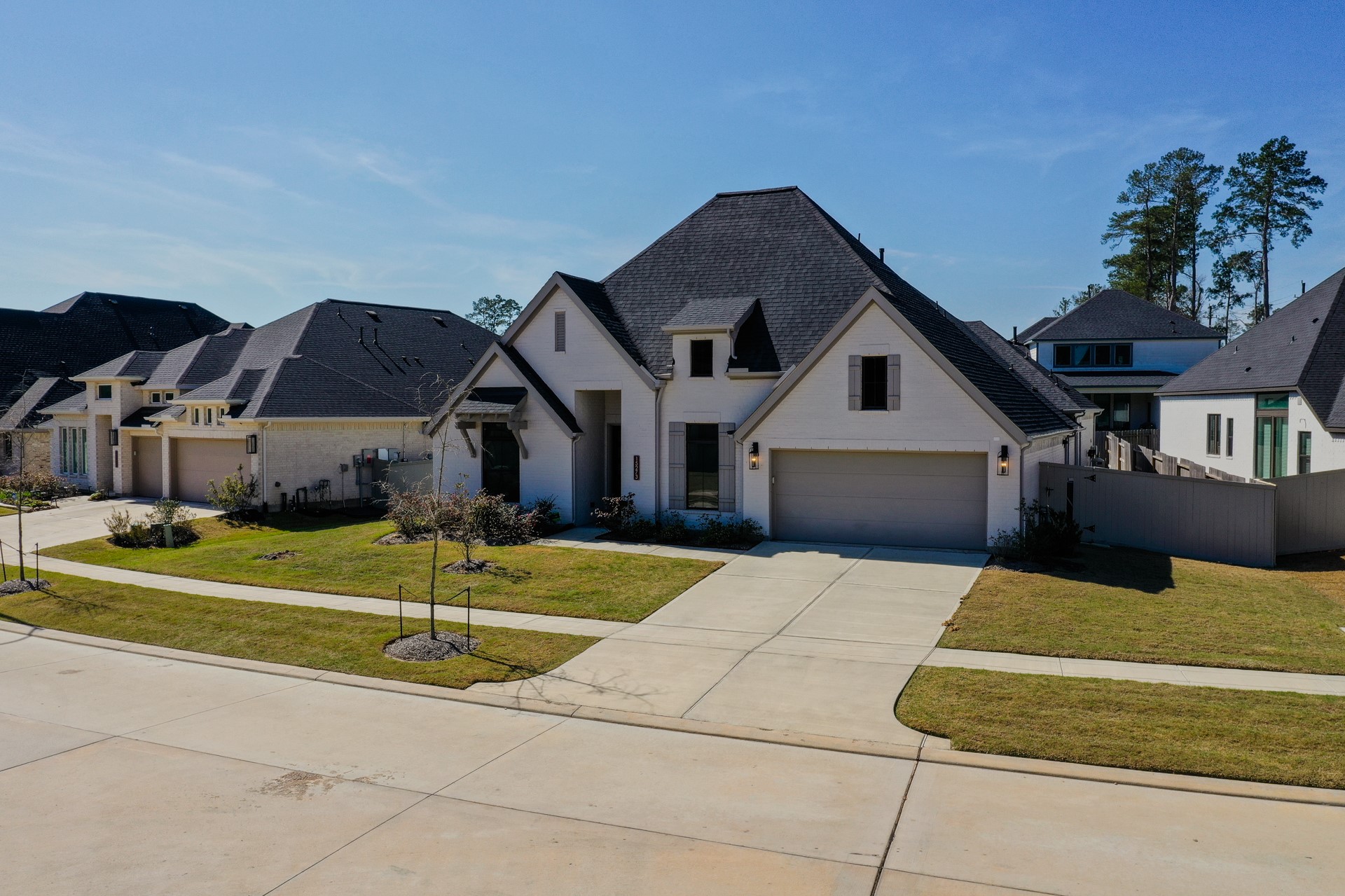 15273 Tree Swallow Court Magnolia, TX 77354 - Photo 3 of 46