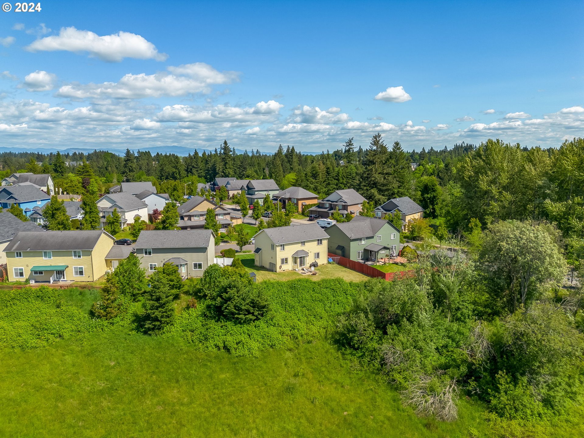 805 Raven Drive Ridgefield, WA 98642 - Photo 35 of 35 a view of a city