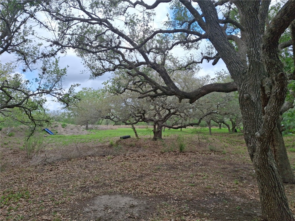 9213 Pvt 6005 Road Sinton, TX 78387 - Photo 15 of 24