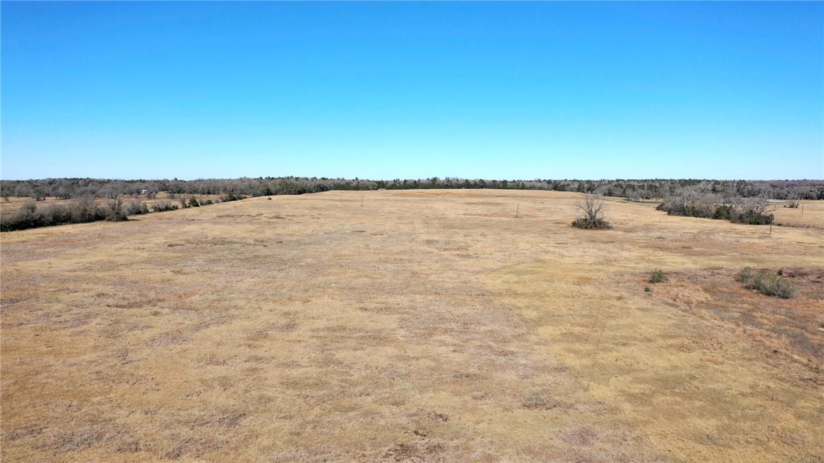 328 Tract 7 10 Acres Road Caldwell, TX 77836 - Photo 12 of 24