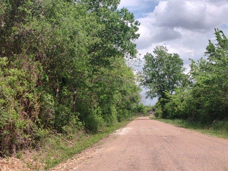 328 Tract 7 10 Acres Road Caldwell, TX 77836 - Photo 3 of 10