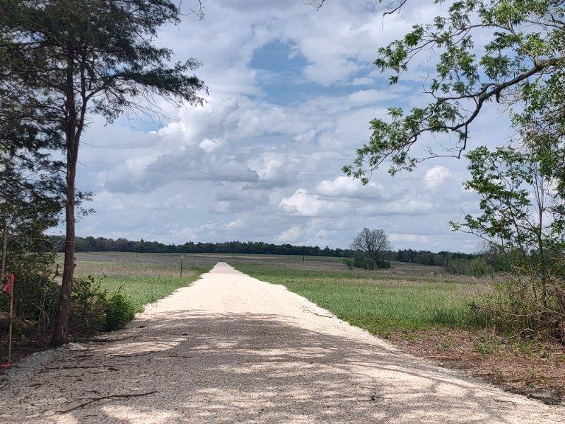 328 Tract 7 10 Acres Road Caldwell, TX 77836 - Photo 4 of 10