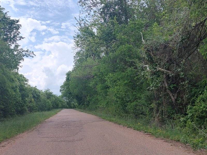 328 Tract 7 10 Acres Road Caldwell, TX 77836 - Photo 5 of 10