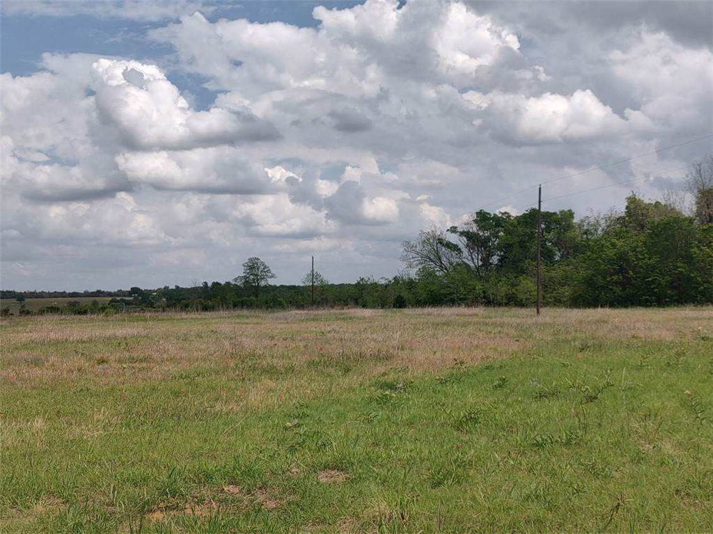 328 Tract 7 10 Acres Road Caldwell, TX 77836 - Photo 7 of 10