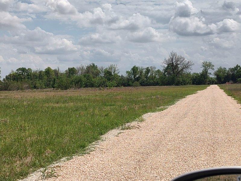 328 Tract 7 10 Acres Road Caldwell, TX 77836 - Photo 8 of 10