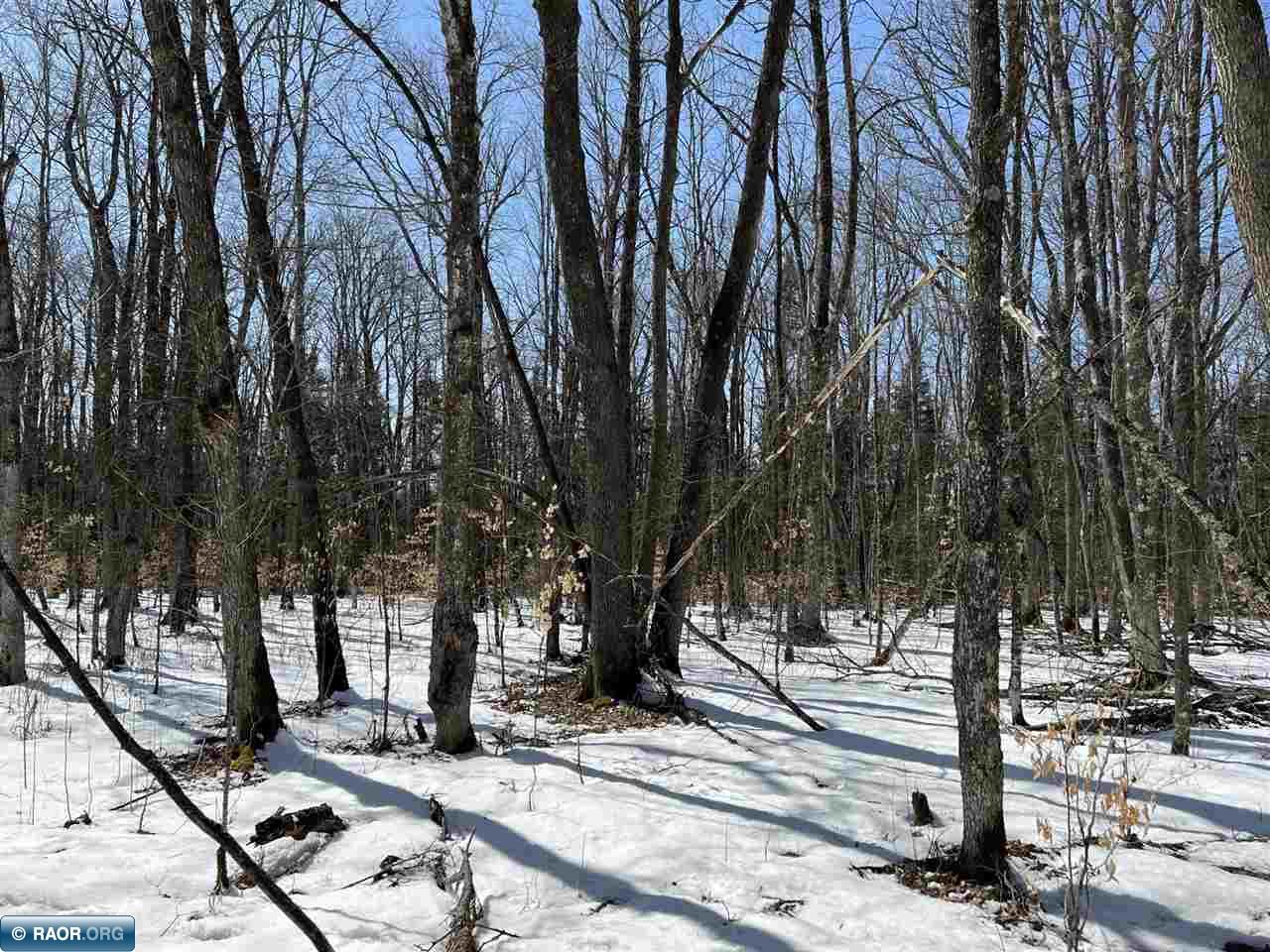 Lot 2 Rippling Oak Ridge River Pengilly, MN 55775 - Photo 8 of 8