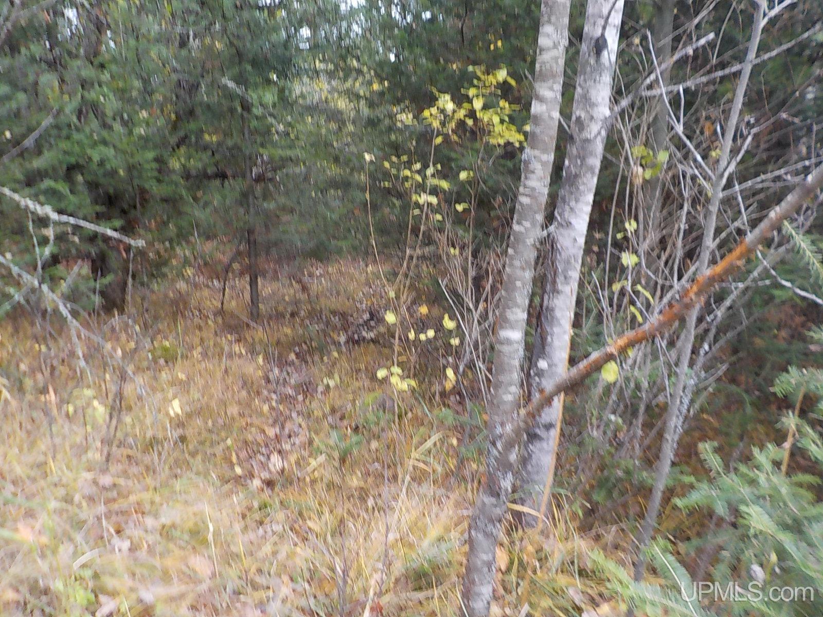 10-ac Lind Road Crystal Falls, MI 49920 - Photo 8 of 16