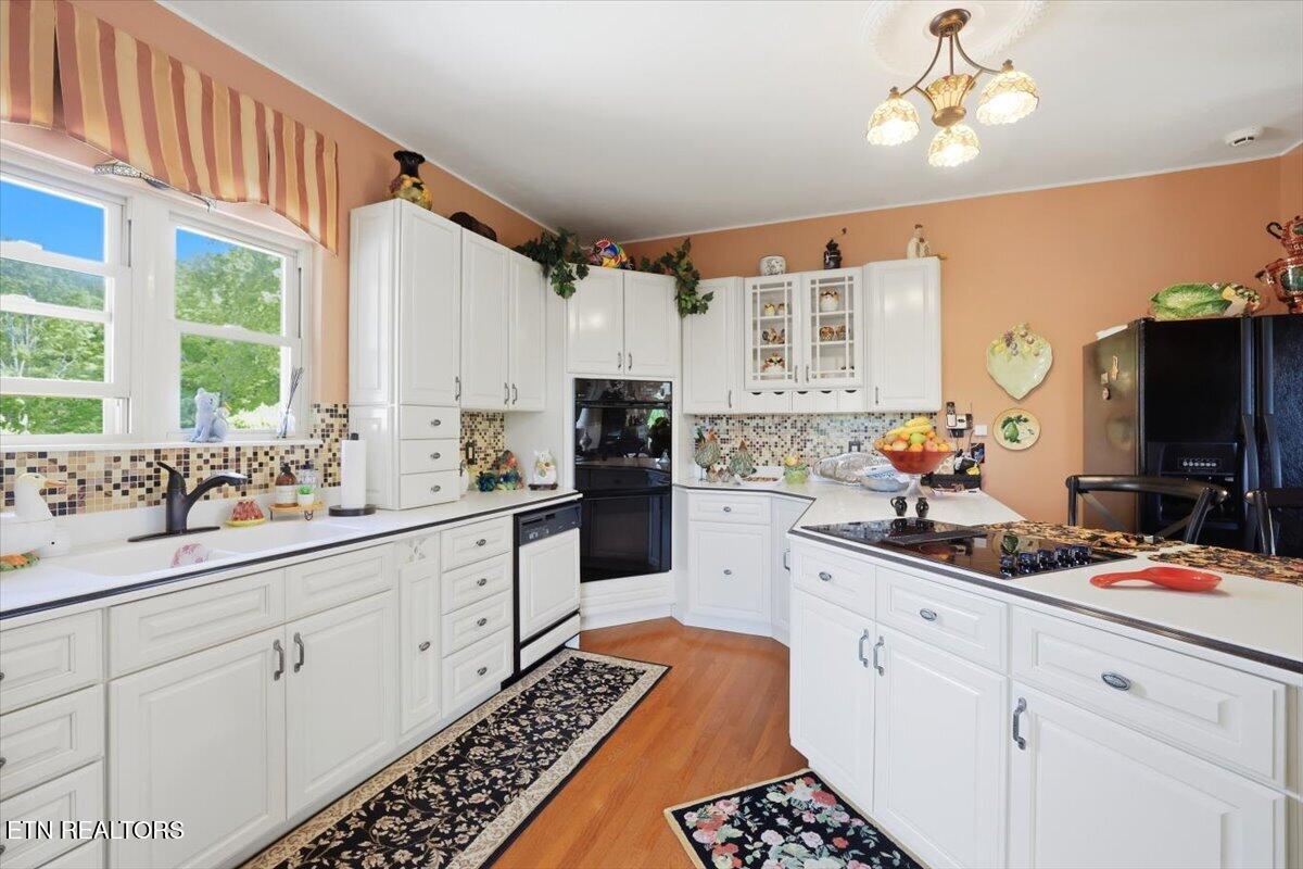 281 Rhondas Way Bean Station, TN 37708 - Photo 15 of 60 31-281_Rhondas_Way_026