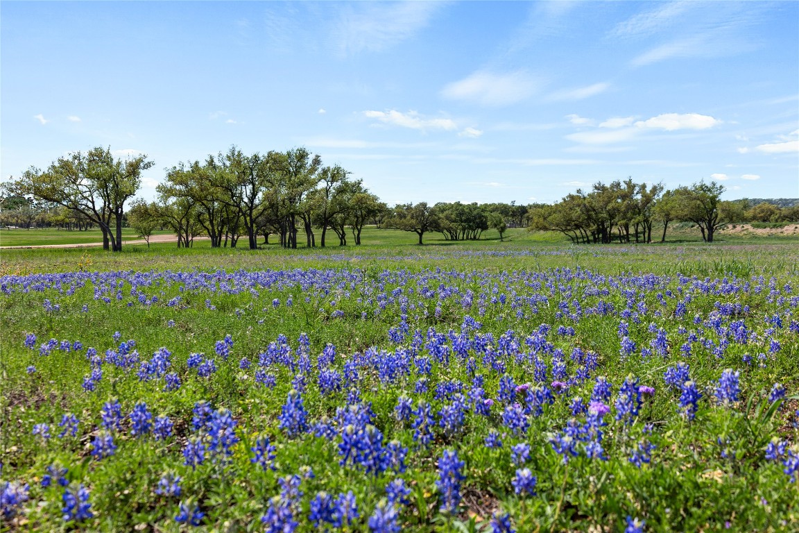 3516 Mt Sharp Road, Unit 23 Wimberley, TX 78676 - Photo 6 of 40 a view of a bunch of flowers