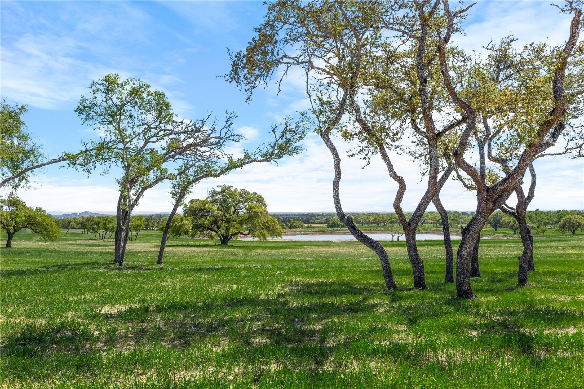 3516 Mt Sharp Road, Unit 23 Wimberley, TX 78676 - Photo 7 of 40 a view of grassy field with trees