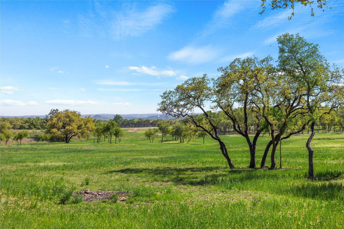 3516 Mt Sharp Road, Unit 23 Wimberley, TX 78676 - Photo 8 of 40 a view of a grassy field with trees