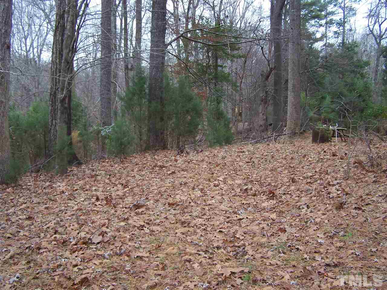 11200 Creedmoor Road Raleigh, NC 27614 - Photo 6 of 10