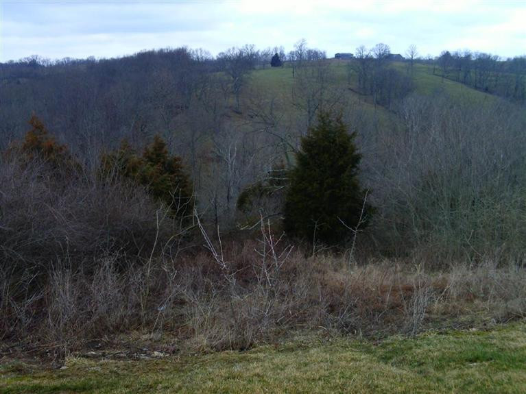 240 Lexington Trail Dry Ridge, KY 41035 - Photo 3 of 27