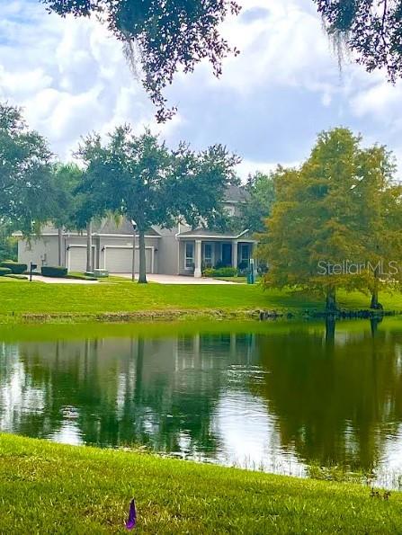 13224 Swansea Avenue Windermere, FL 34786 - Photo 36 of 58 Gallery Image 36