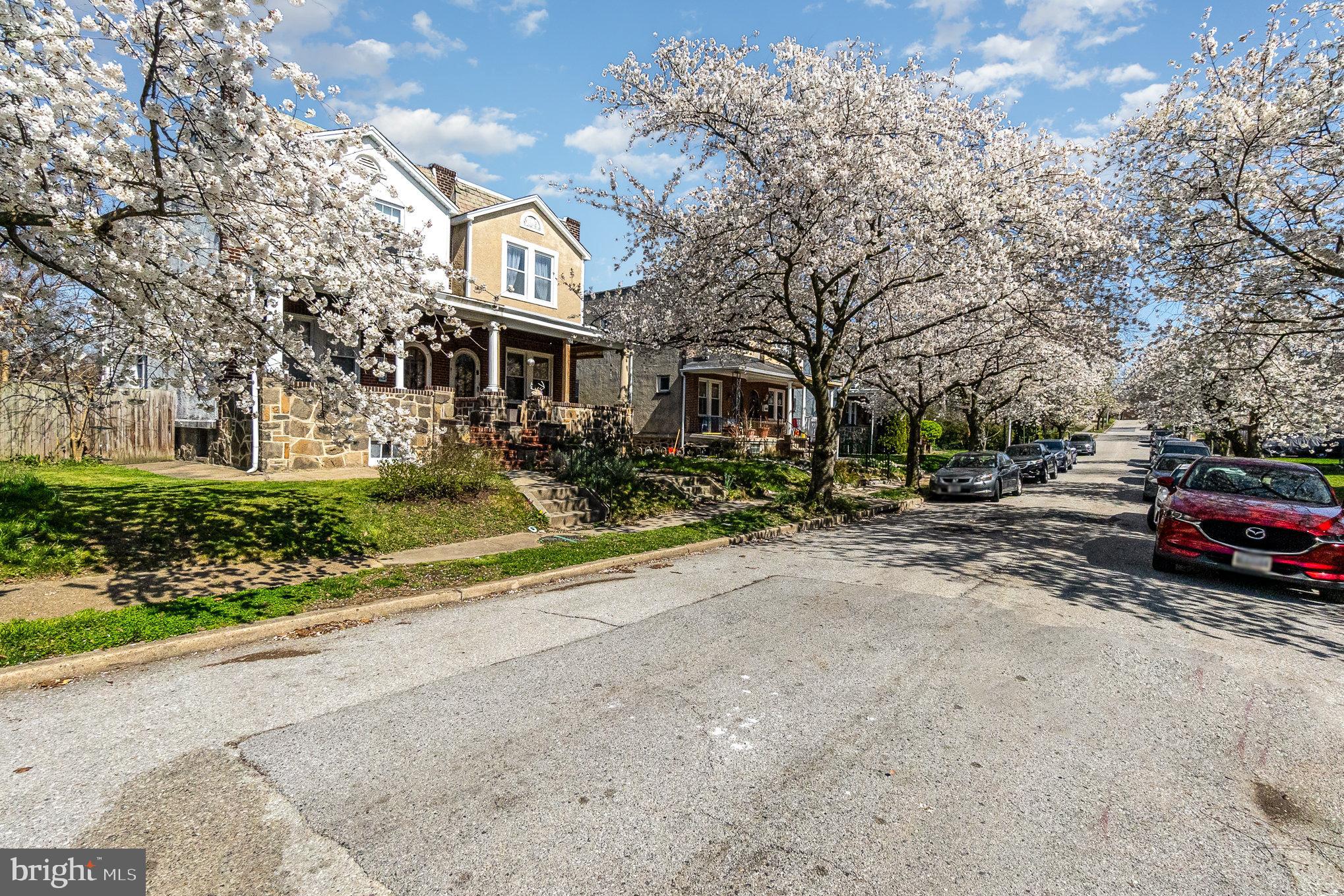 3014 Beverly Road Baltimore, MD 21214 - Photo 36 of 41 Beautiful Cherry Blossom Lined Street