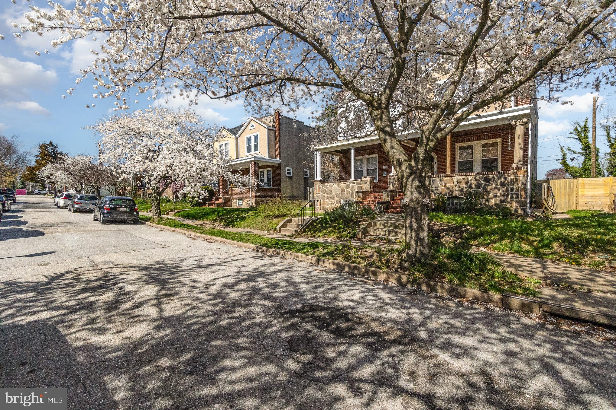 3014 Beverly Road Baltimore, MD 21214 - Photo 39 of 41 Beautiful Cherry Blossom Lined Street