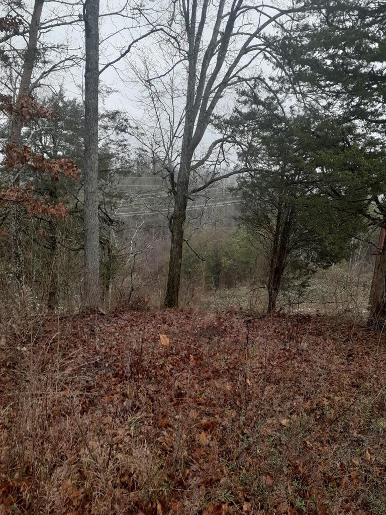 0 Ridge Road Sevierville, TN 37862 - Photo 11 of 11