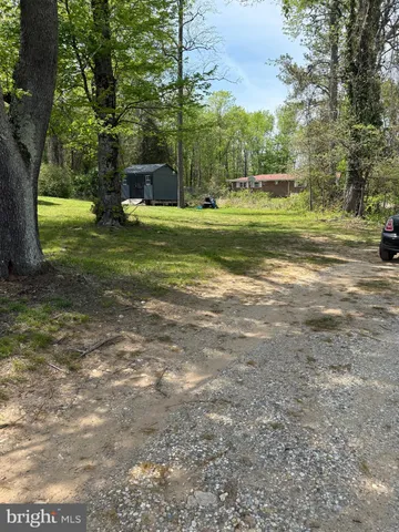a view of a park with large trees
