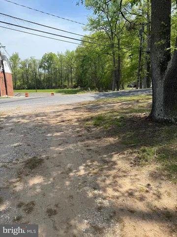 a view of a field with trees