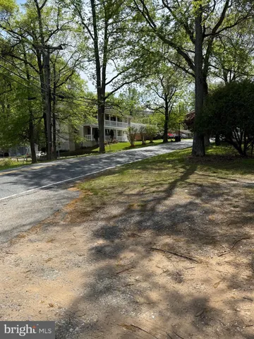 a view of a park with large trees