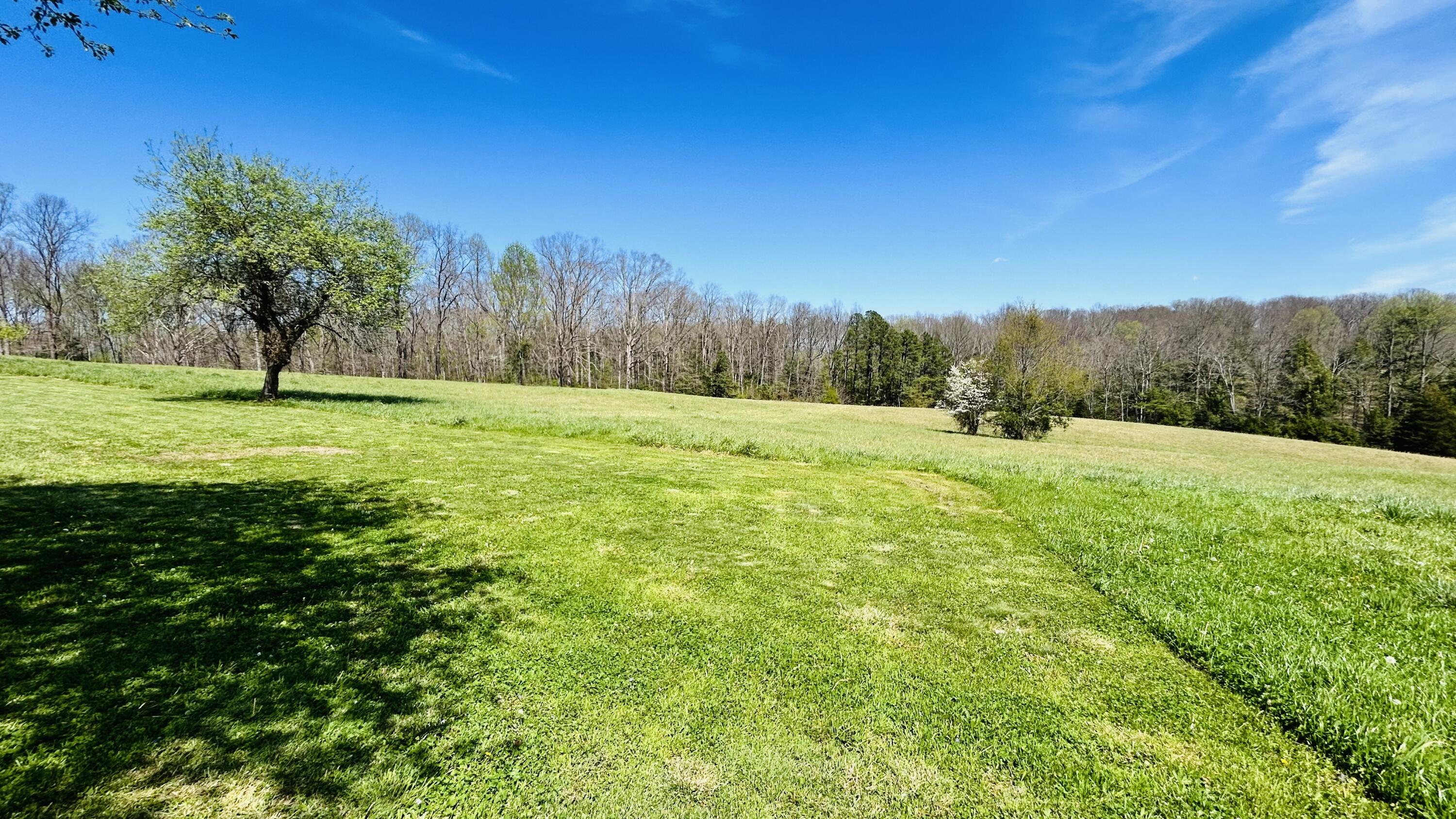 882 Roy Dugger Road London, KY 40741 - Photo 45 of 48 IMG_0172