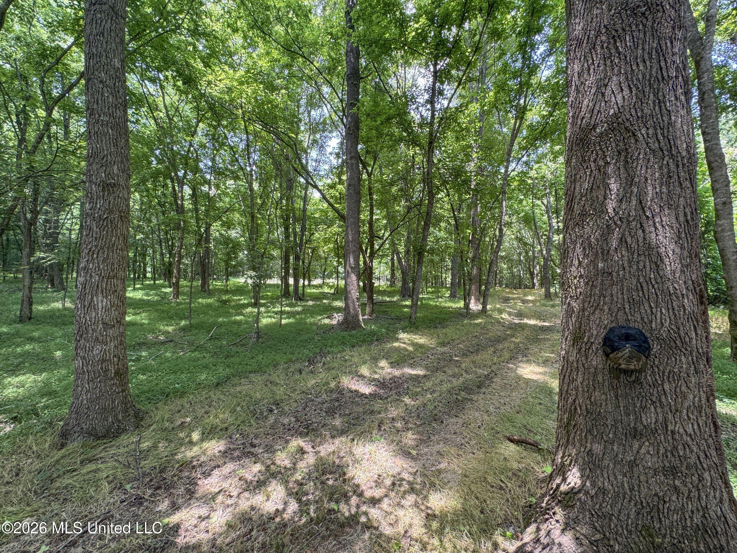 884 Avant Road Crenshaw, MS 38621 - Photo 129 of 154 6dbyicr76