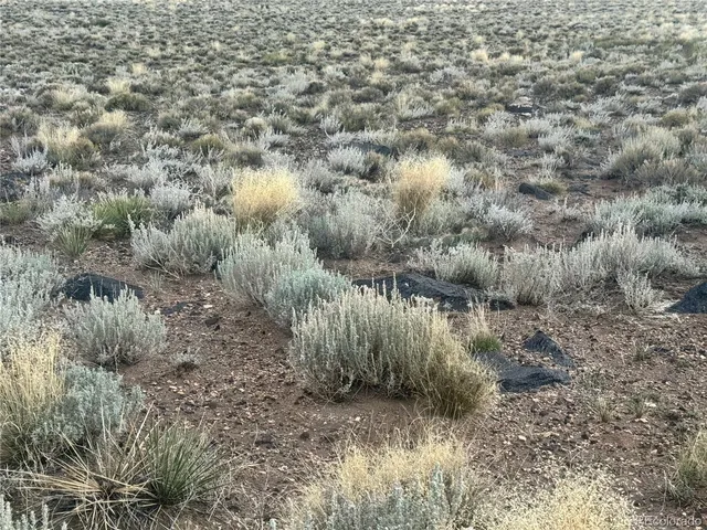 a view of an ocean and beach