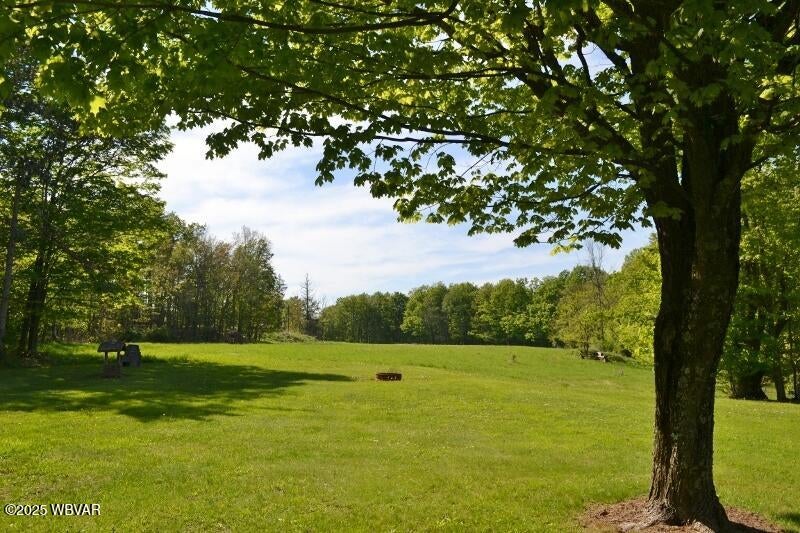 189 Dog Farm Road Dushore, PA 18614 - Photo 69 of 80 DSC_0714 (800x533)