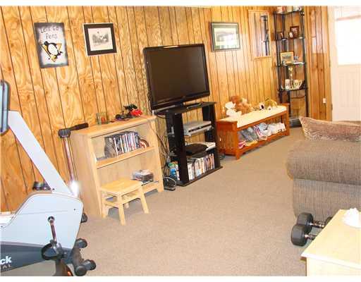 109 Rustic Ridge Drive Plum, PA 15239 - Photo 10 of 18 Den/Family/Great Room.