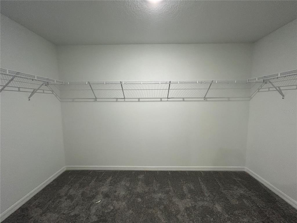 13095 Calcite Blue Avenue Wimauma, FL 33598 - Photo 15 of 28 a view of a room with racks on the wall