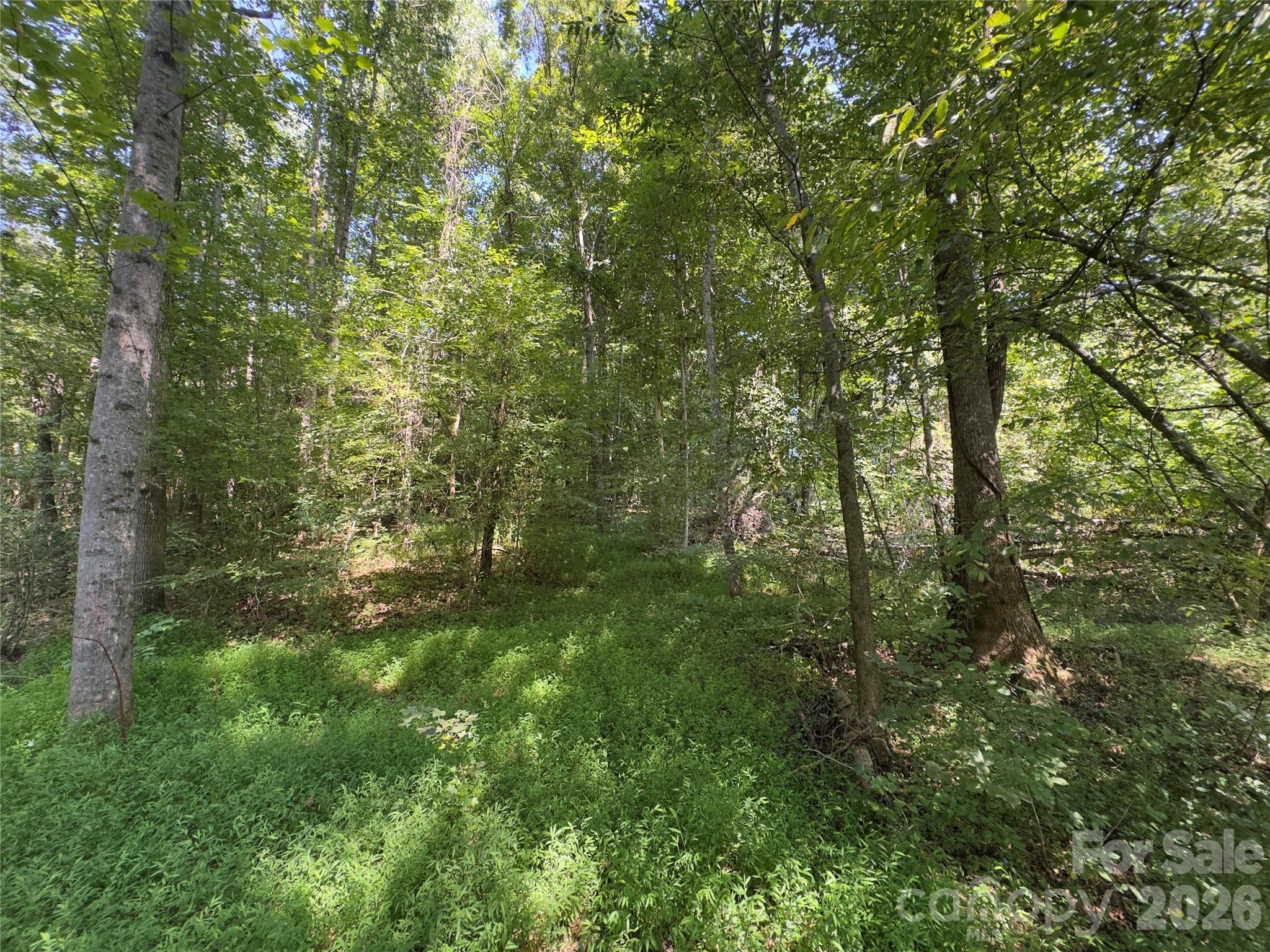 None Laboratory Road Lincolnton, NC 28092 - Photo 14 of 29 Gallery Image 14
