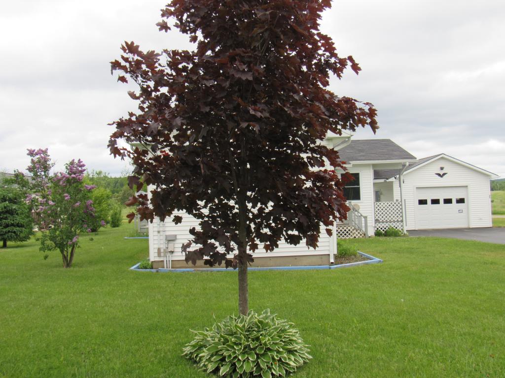 224 Shattuck Hill Road, Unit LOT G5 Derby, VT 05855 - Photo 2 of 35 Gallery Image 2