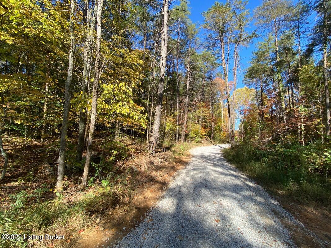 L3 Ted Logsdon Road Clarkson, KY 42726 - Photo 8 of 24 River View 10132227