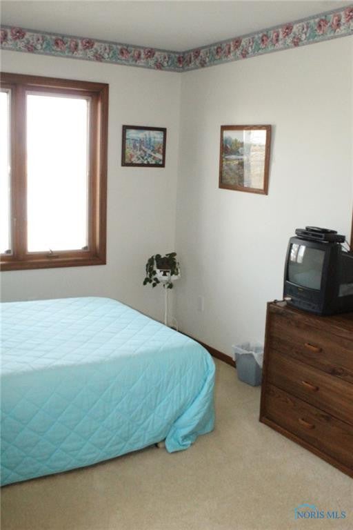 5530 County Road East Bryan, OH 43506 - Photo 19 of 25 Gallery Image 19