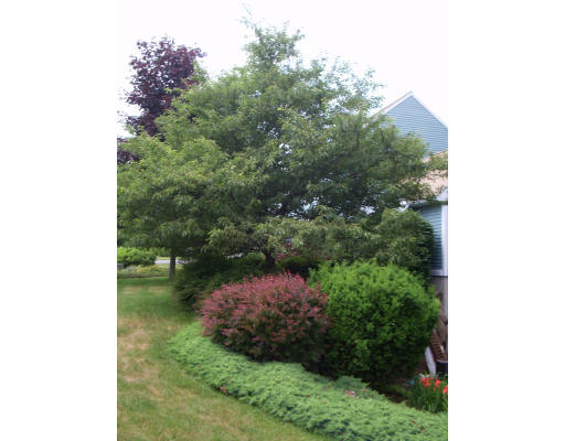 18 Old Town Road Beverly, MA 01915 - Photo 4 of 18 a view of a yard