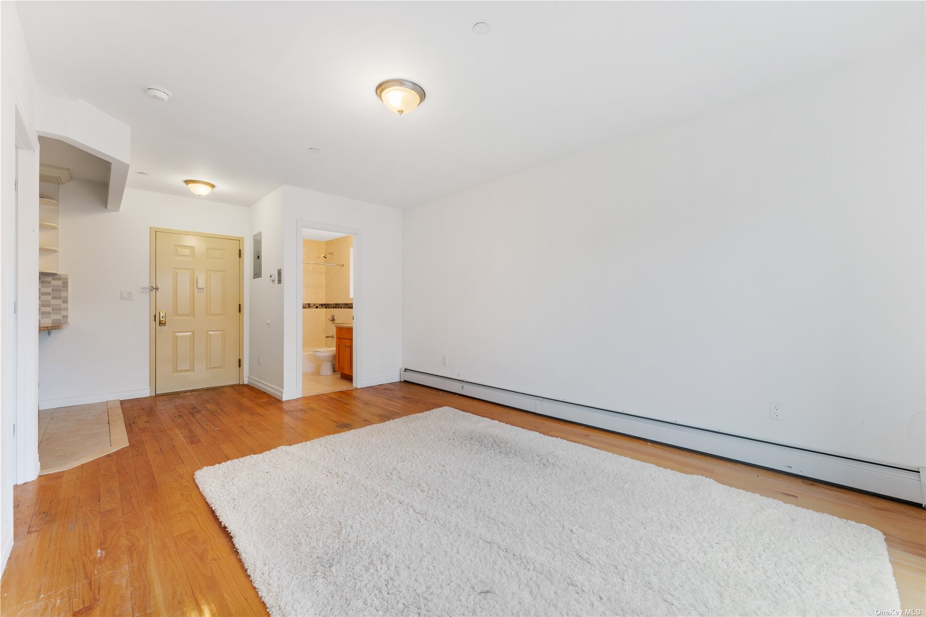 53-12 102nd Street Queens, NY 11368 - Photo 3 of 20 a view of an empty room and window