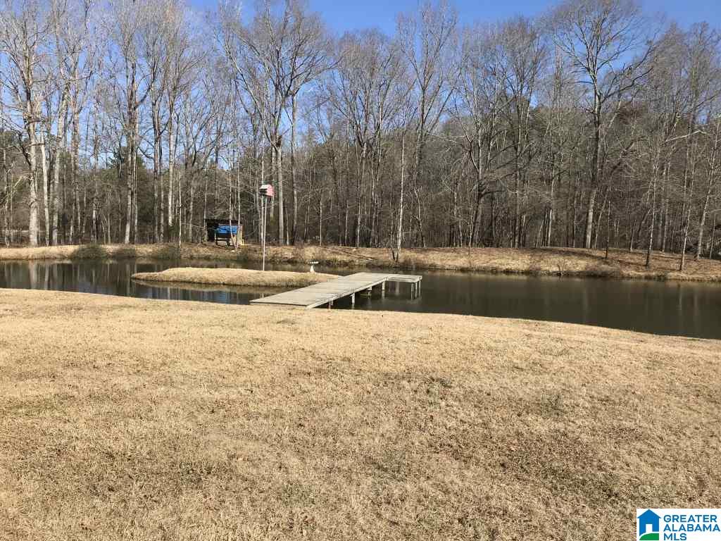 4330 Chelsea Road Columbiana, AL 35051 - Photo 6 of 37