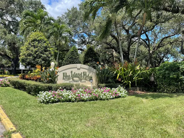 a view of a garden with a tree