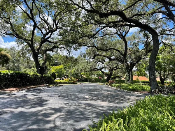 a view of outdoor space with deck and tree