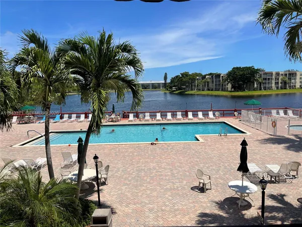 a view of a lake with a palm tree