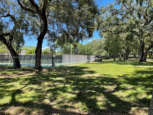 a view of a tree in the middle of a yard