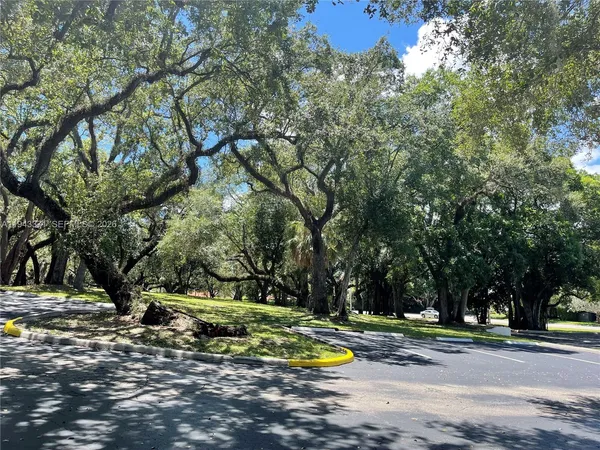 a view of a trees in a yard
