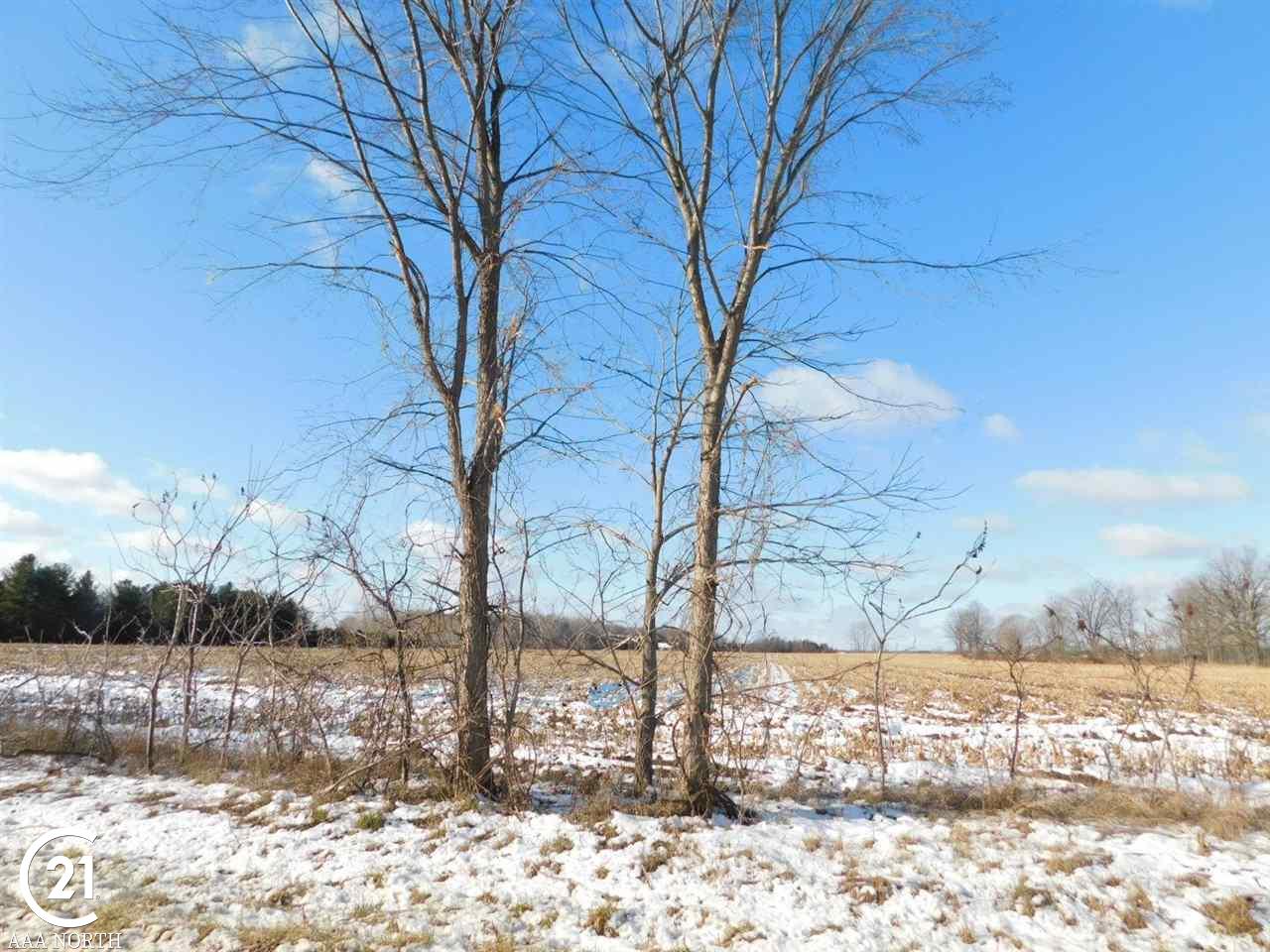 0 Shoemaker Road Almont, MI 48003 - Photo 2 of 6