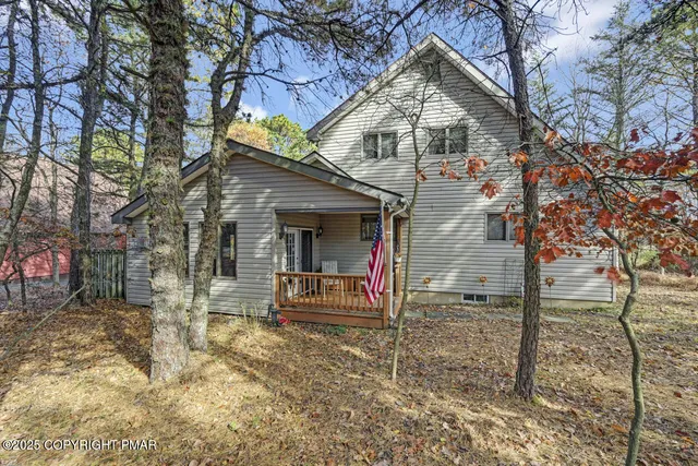 a view of a yard with plants and large trees