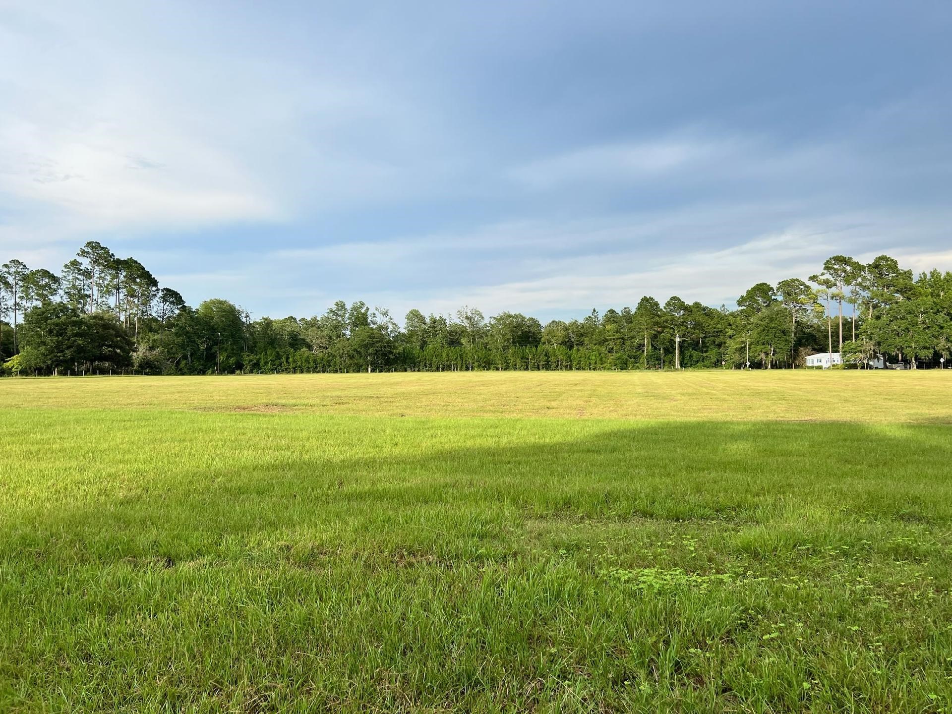 0 Preston Sheffield Road Perry, FL 32347 - Photo 1 of 2 Gallery Image 1