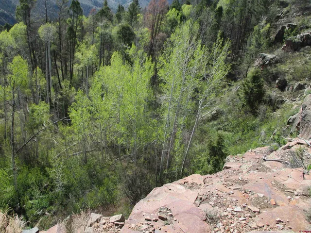 a view of a backyard of a house